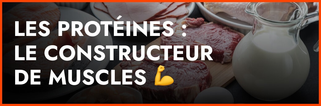 COMMENT LES PROTÉINES, LES GLUCIDES ET LES LIPIDES ALIMENTENT VOTRE PARCOURS DE REMISE EN FORME